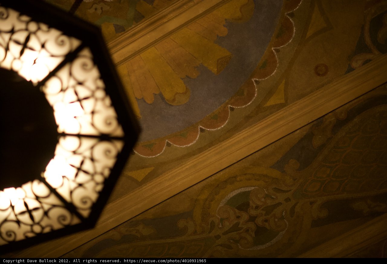 Illuminating the Hardwood Flooring