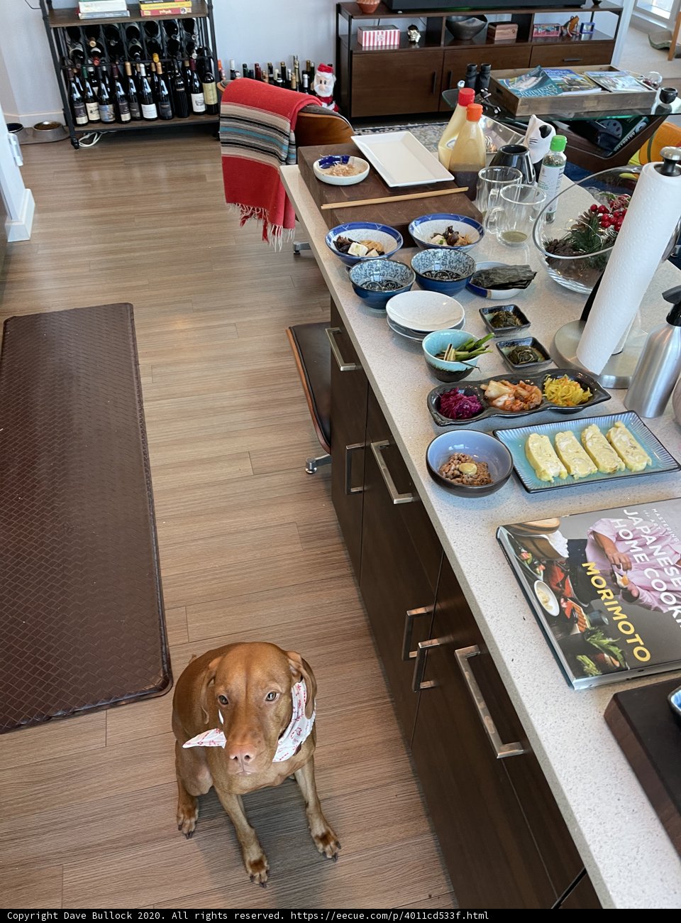 Brunch with Man's Best Friend
