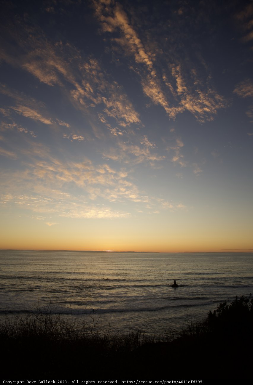 Setting Sun Adorned - Halfmoon Bay Pumpkin Patch, 2023