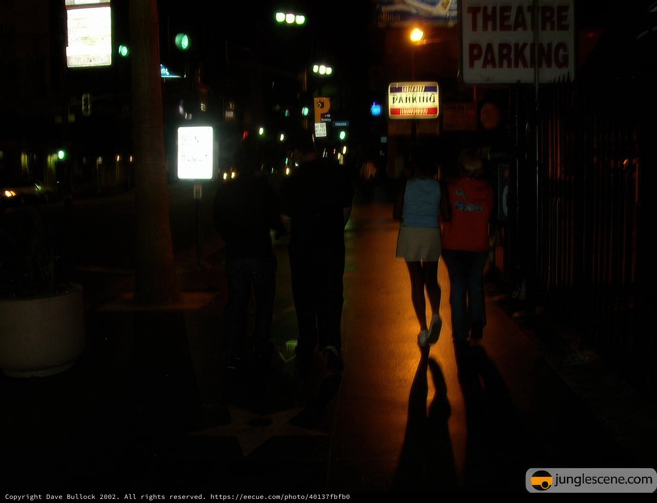 Night Stroll in the Urban Jungle