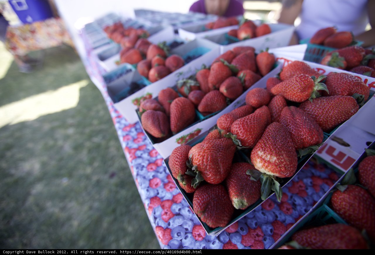 Fresh Strawberry Harvest at the Farmers Market