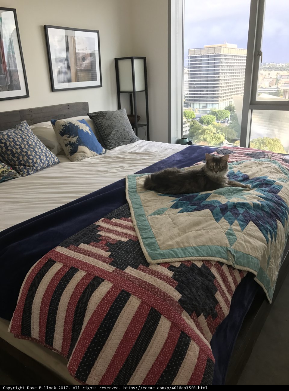 The Majesty of a Feline Kingdom
