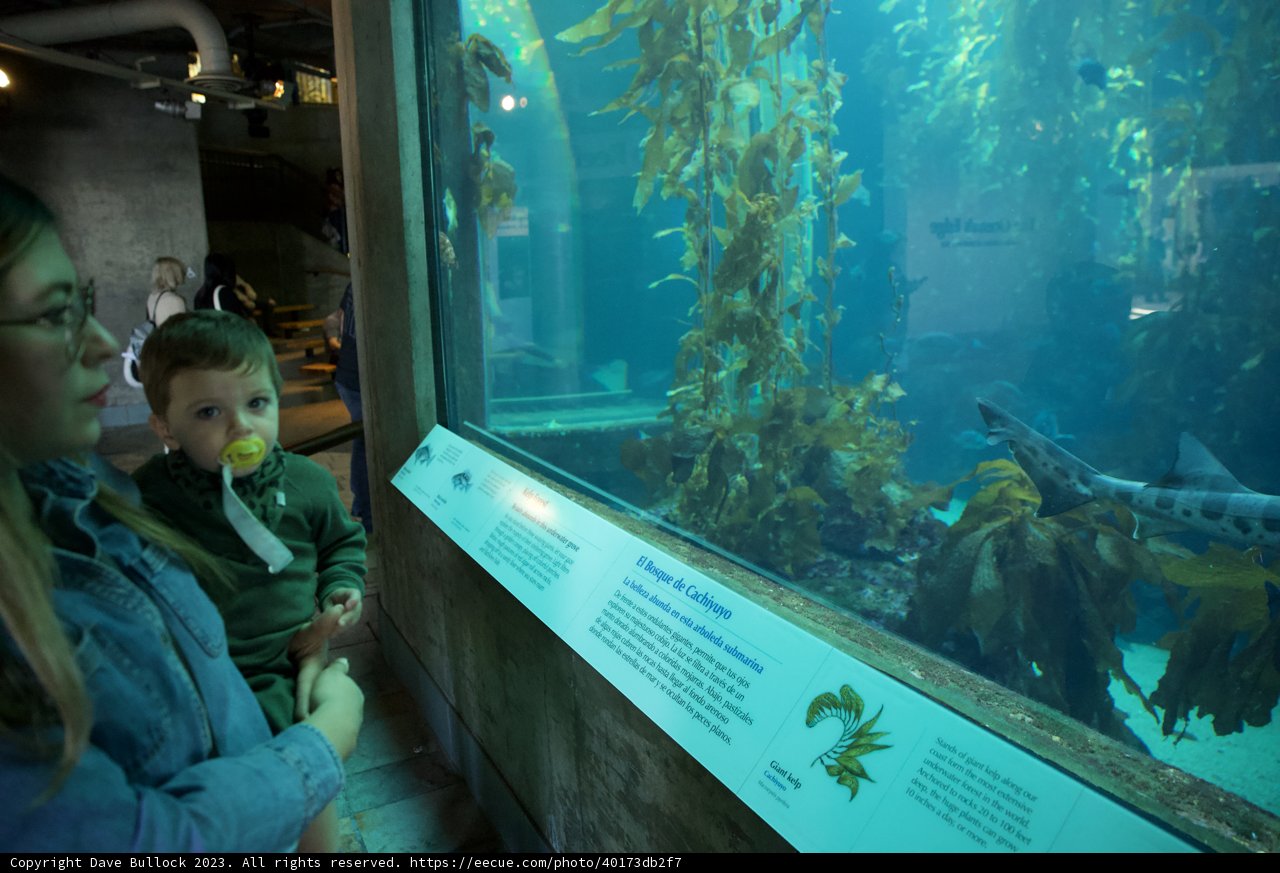 Enthralling Marine Encounter