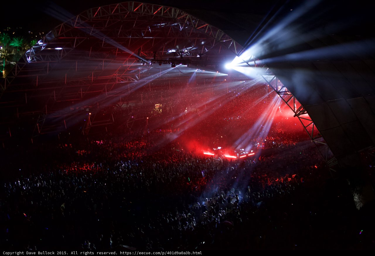 Lit Up Crowd