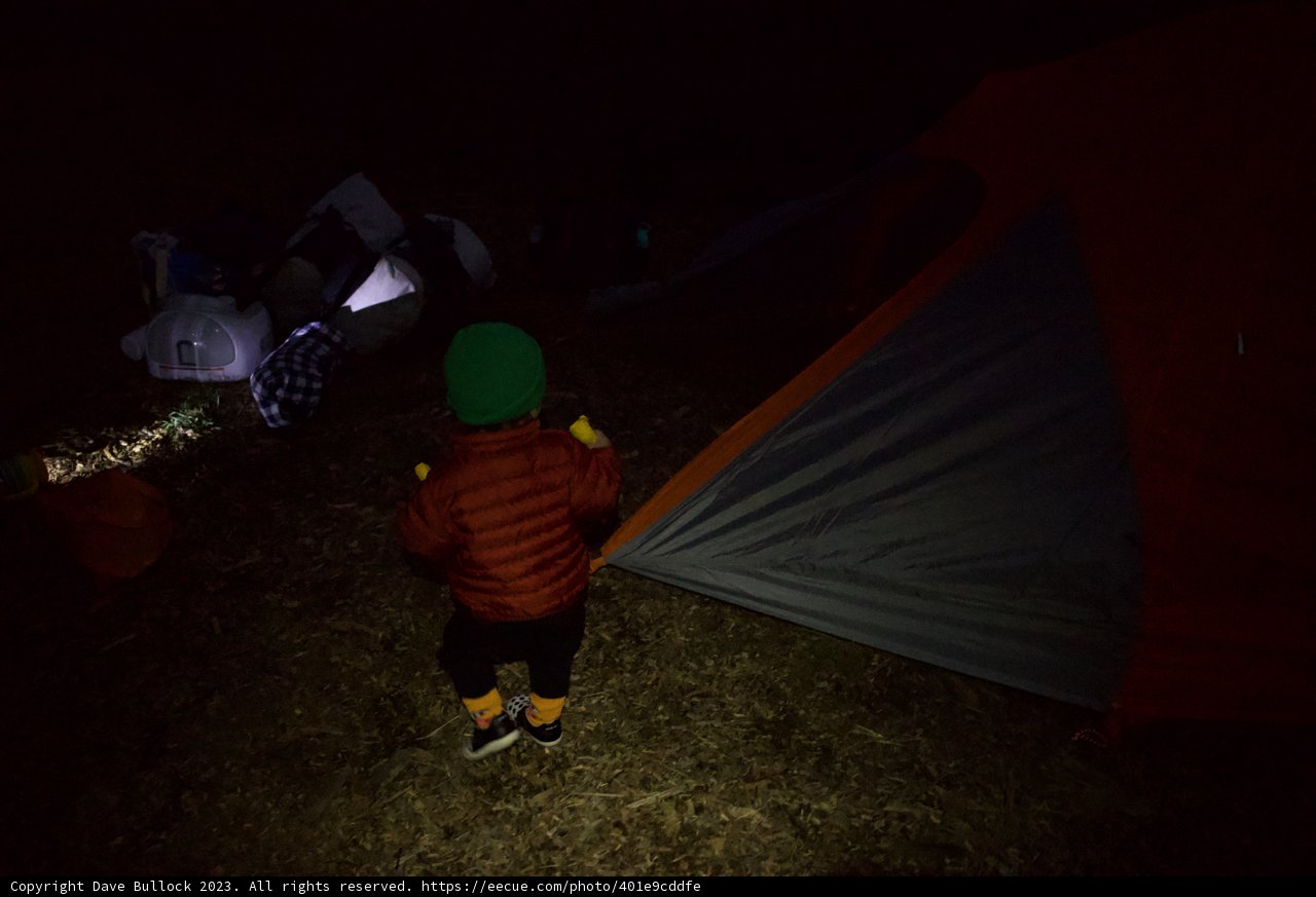 Night Adventure at Presidio: First Camping Trip
