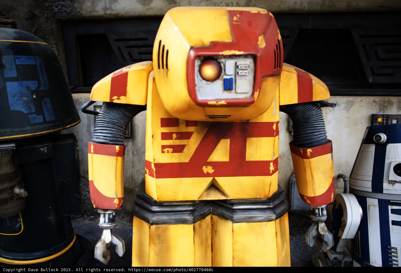 Vibrant Robotic Encounter