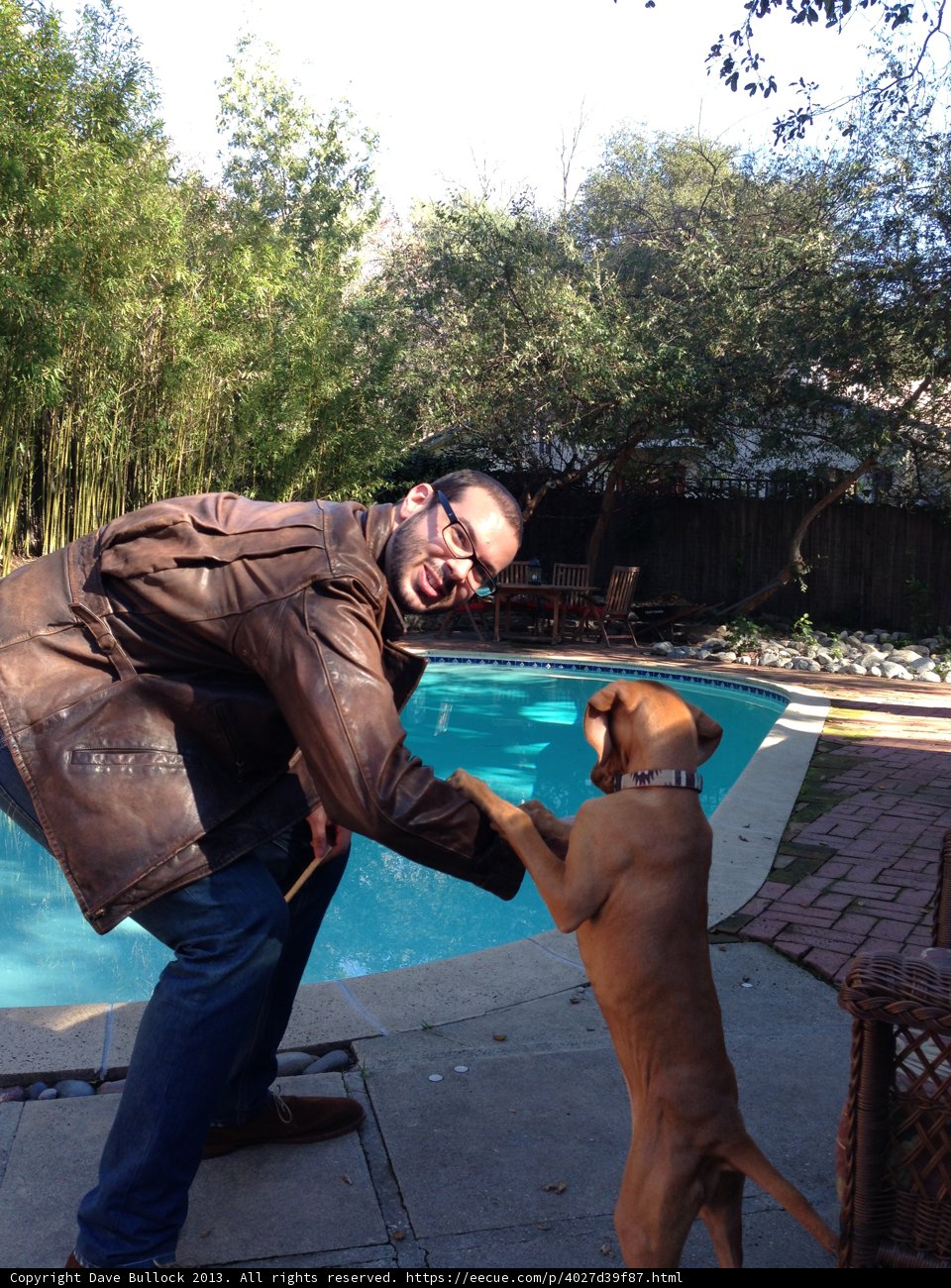 Man and Dog in Altadena