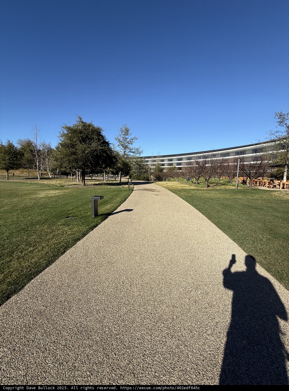 Tranquility at Apple Park