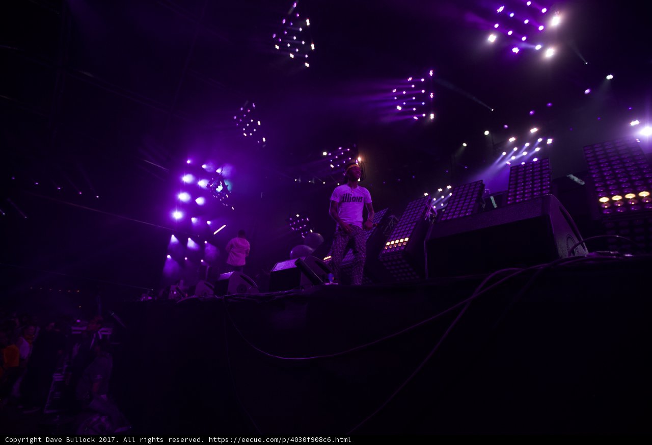Purple Haze Concert
