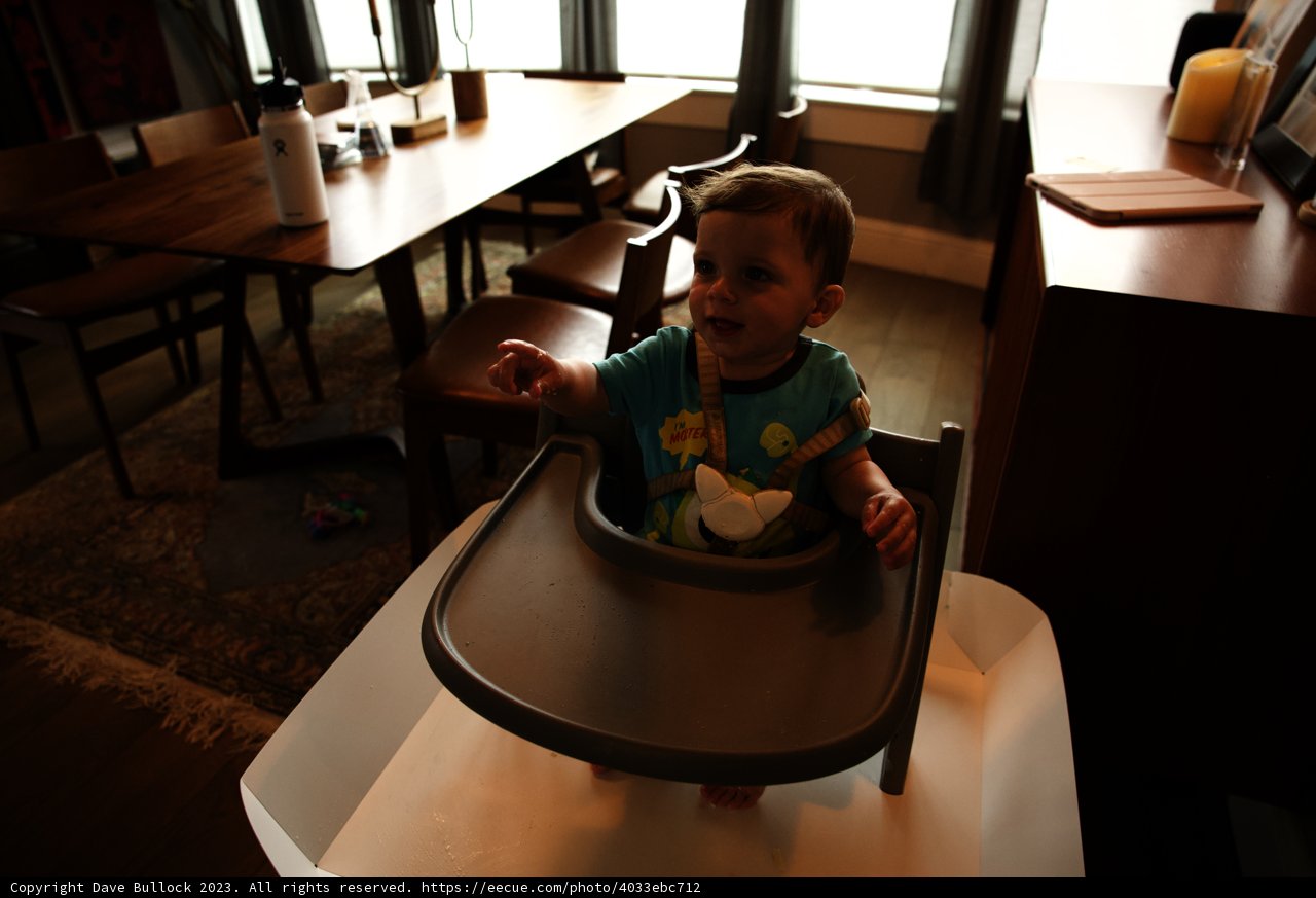 Wesley's First Birthday Feast