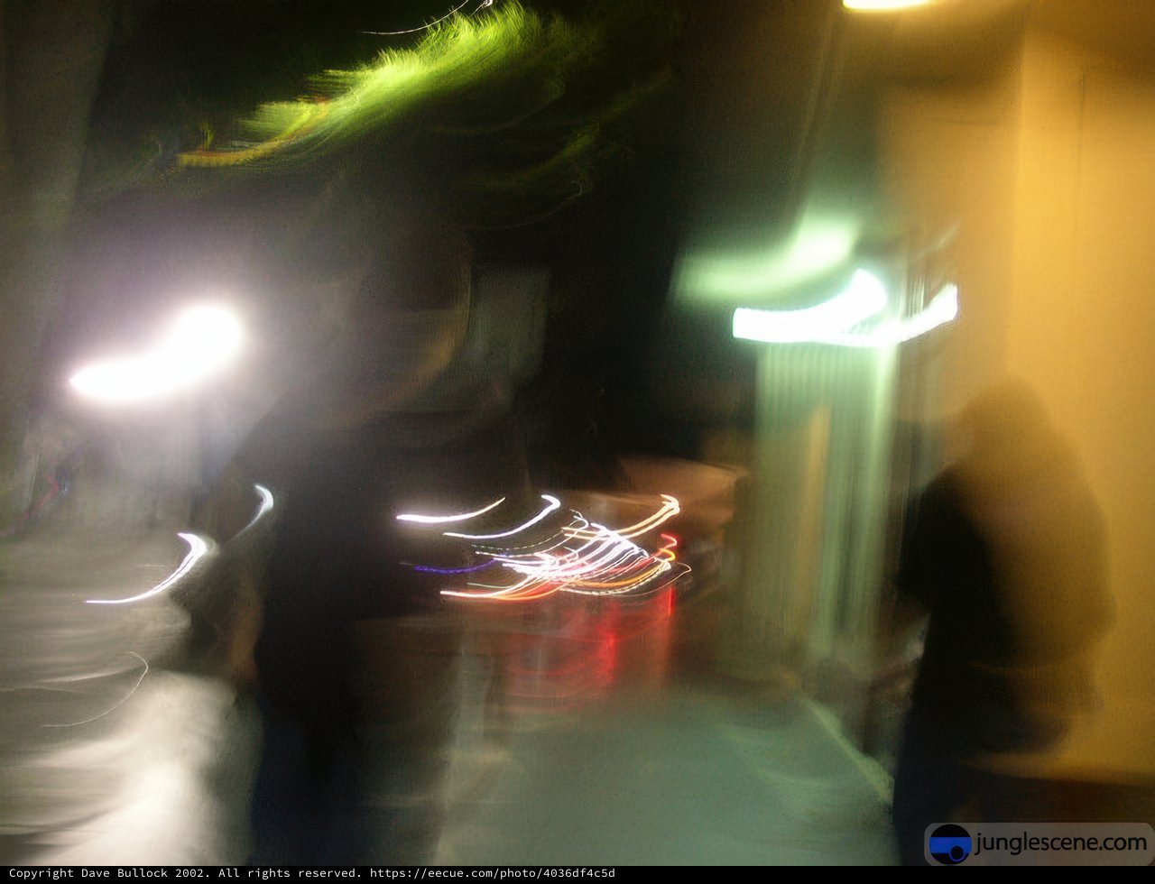 Nighttime Stroll