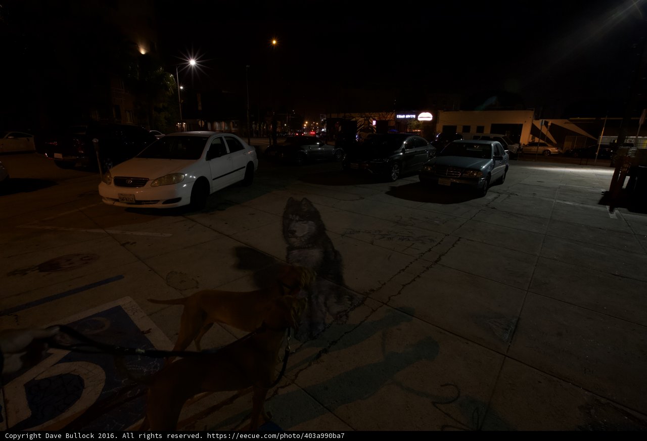 Nighttime Stroll
