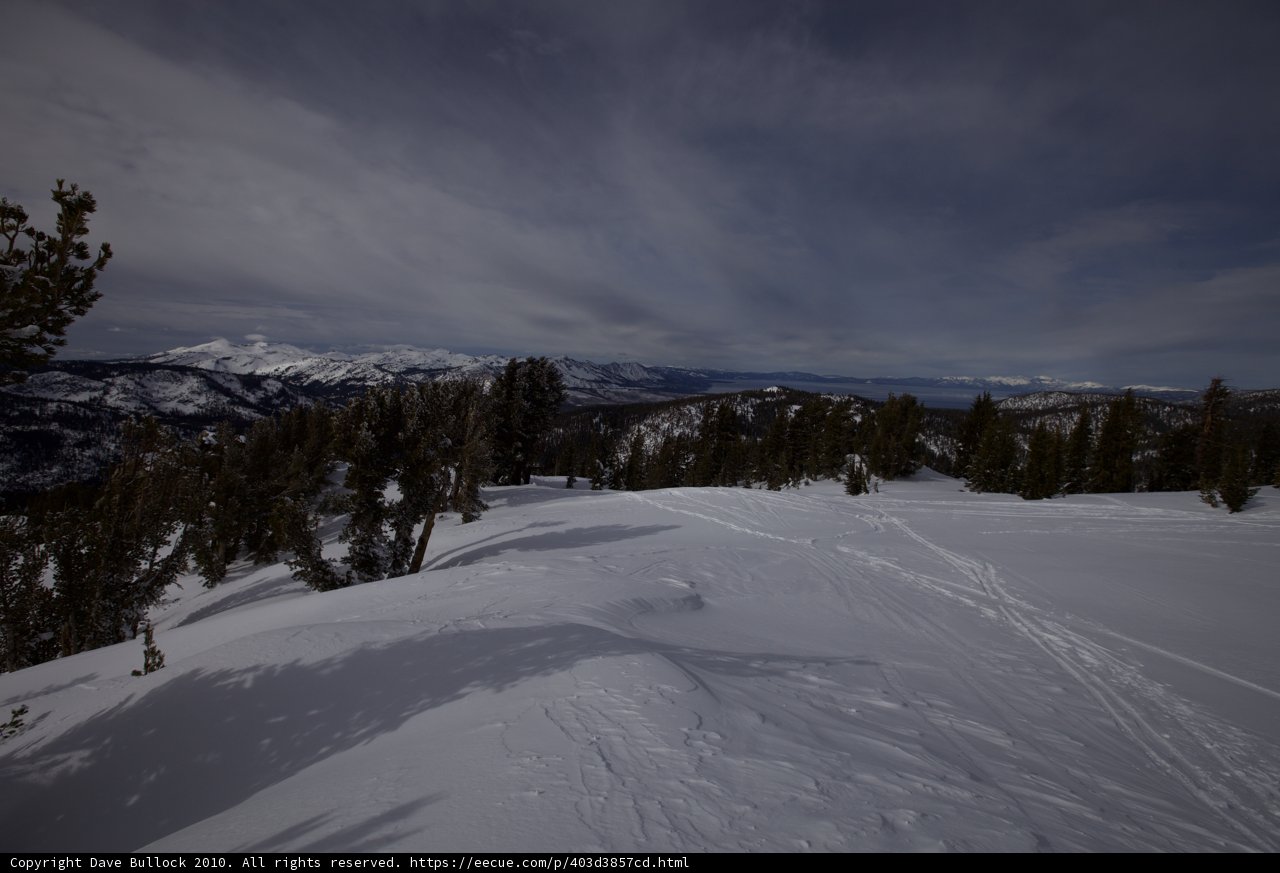 Majestic Winter Wonderland