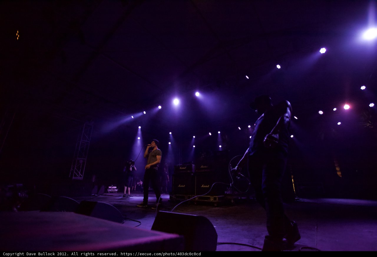 Purple Haze Concert
