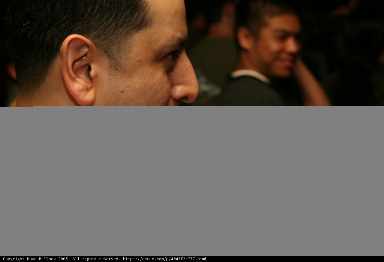 Businessman on the Phone