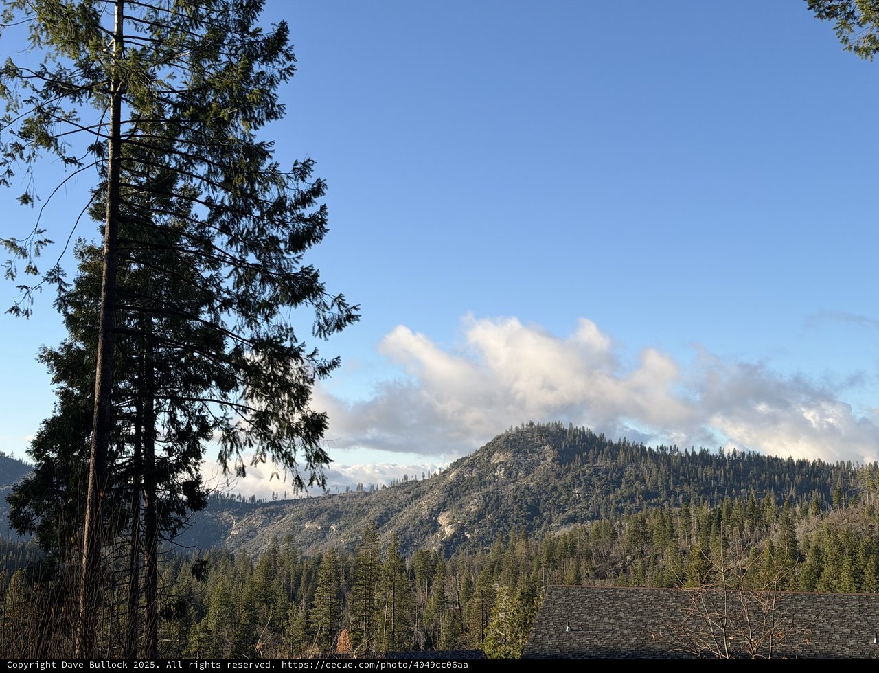 Pine-Framed Mountain Vista Under Winter Sky