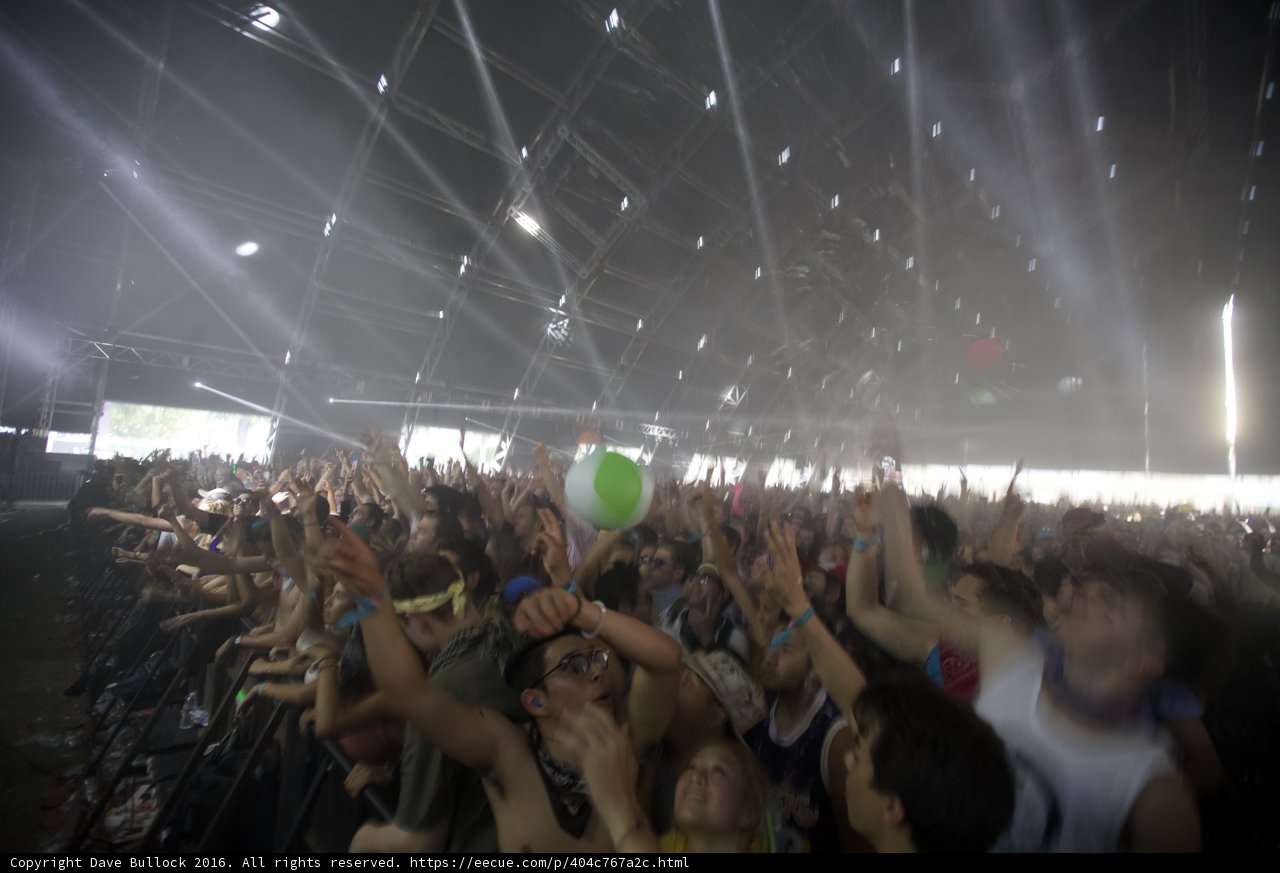 Hands Up: The Electric Crowd at Coachella 2016