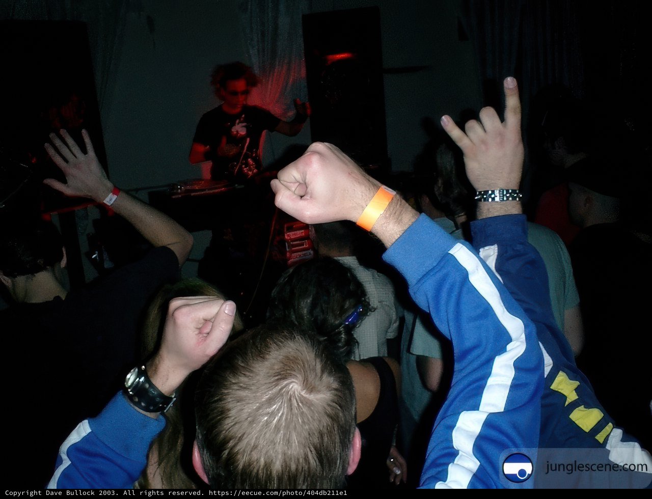 Party Goers Enjoying the Nightlife