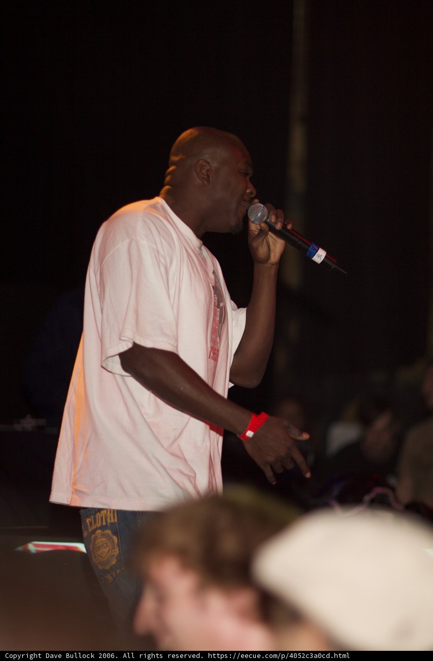 Mic in Hand, Crowd in Sight