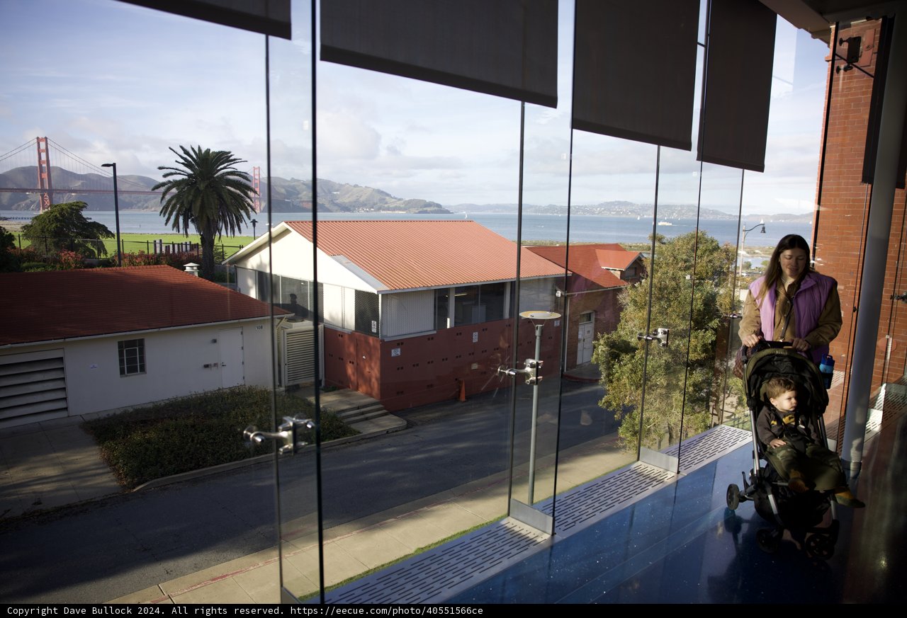 Serene Moments: Reflecting Upon the Bay