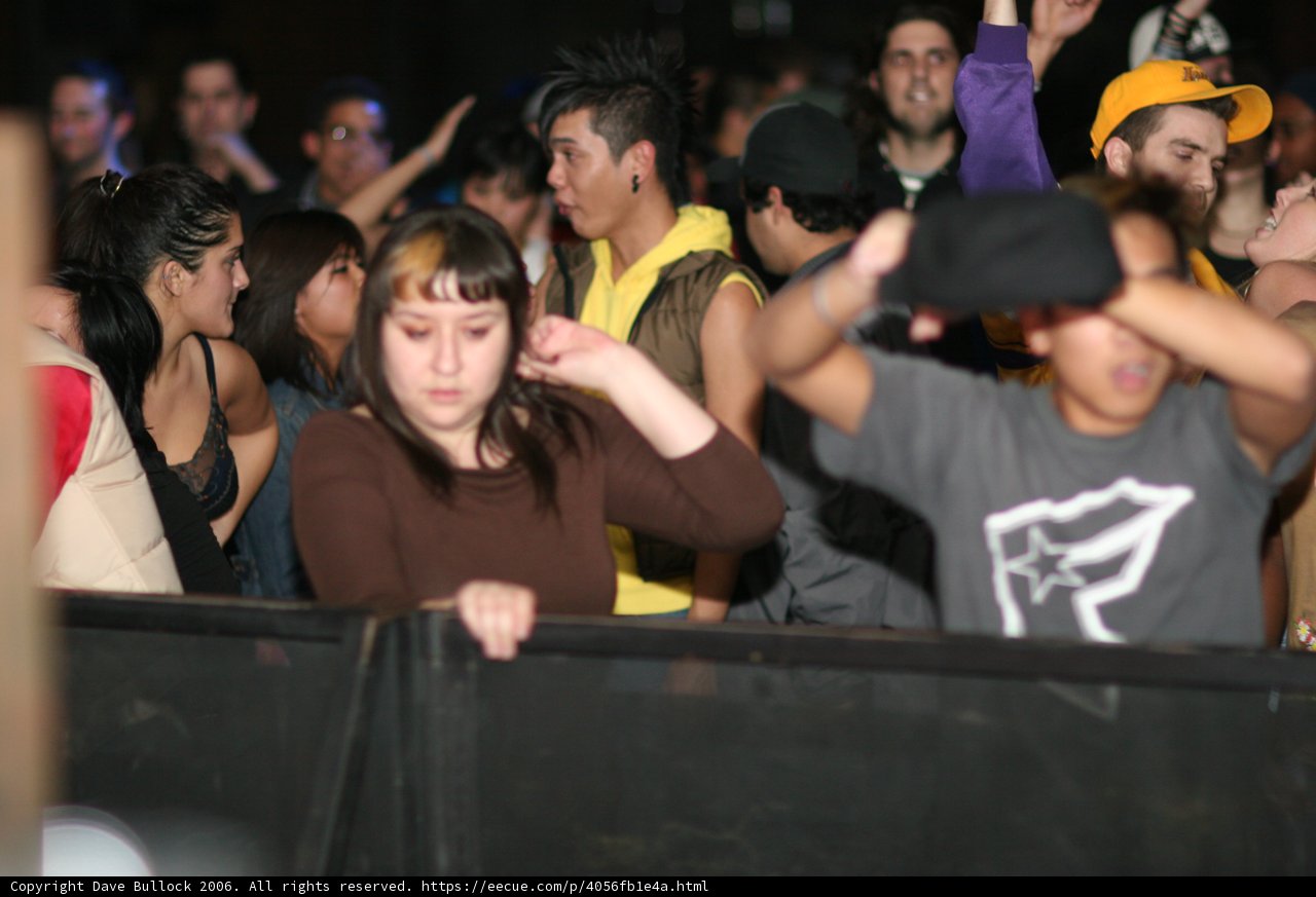 Hats Off to the Crowd