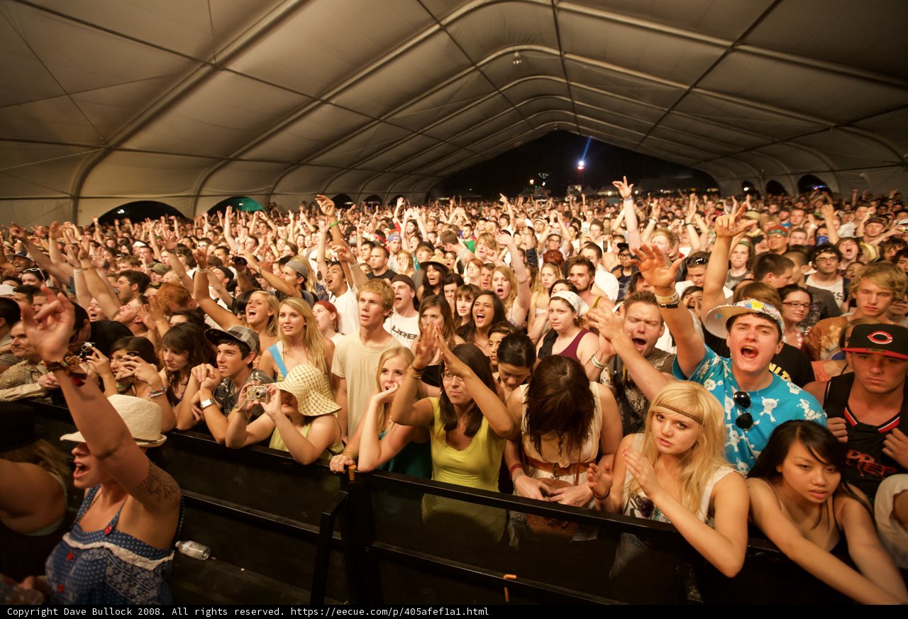 Coachella Crowd Goes Wild