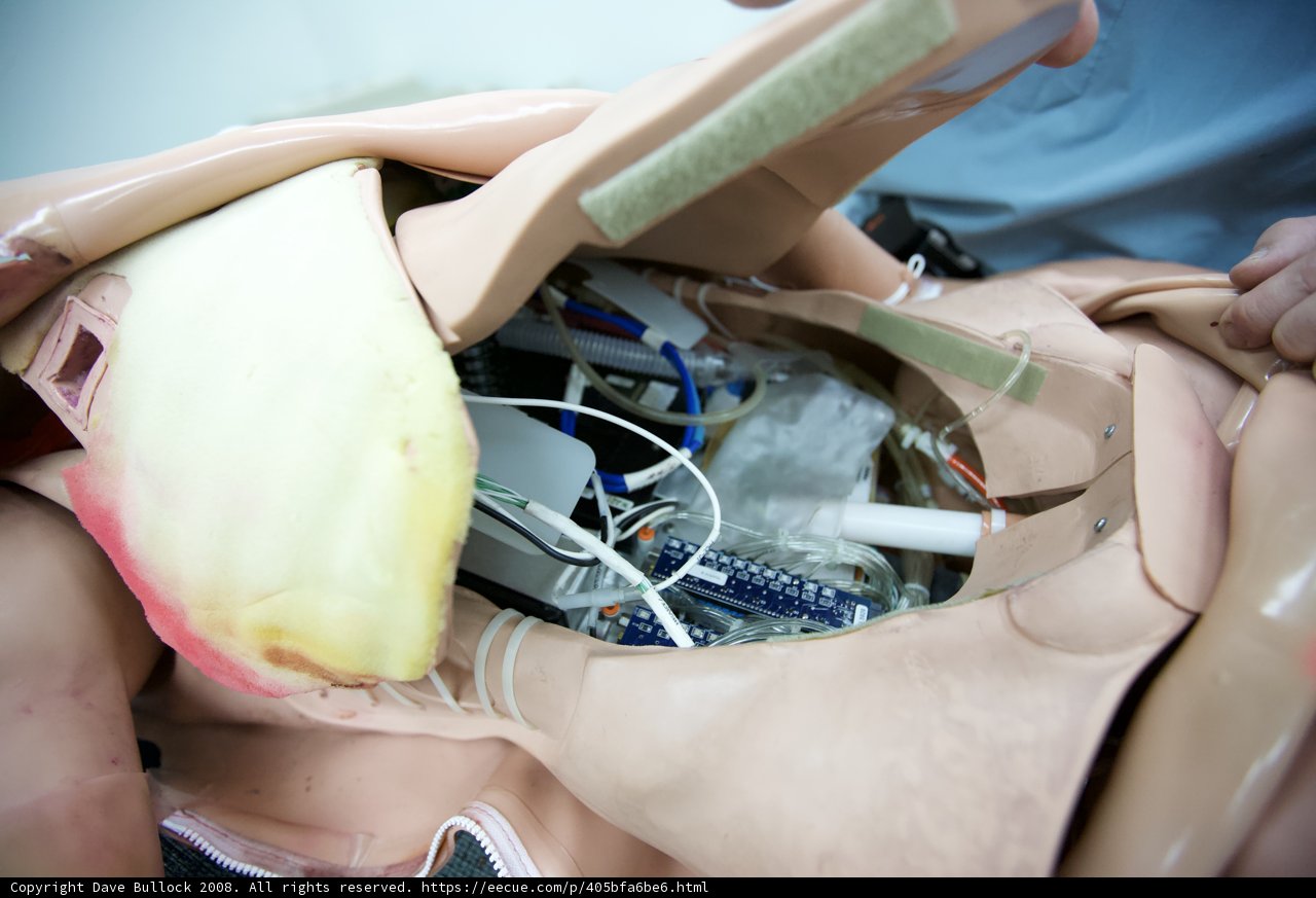 Sculpting a Human Body Model
