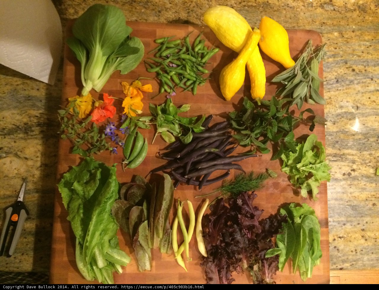 A Fresh Harvest on the Cutting Board