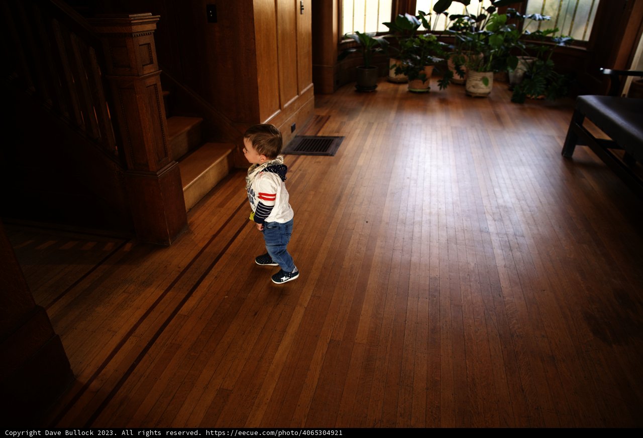 Exploring the Enchanting Hallway