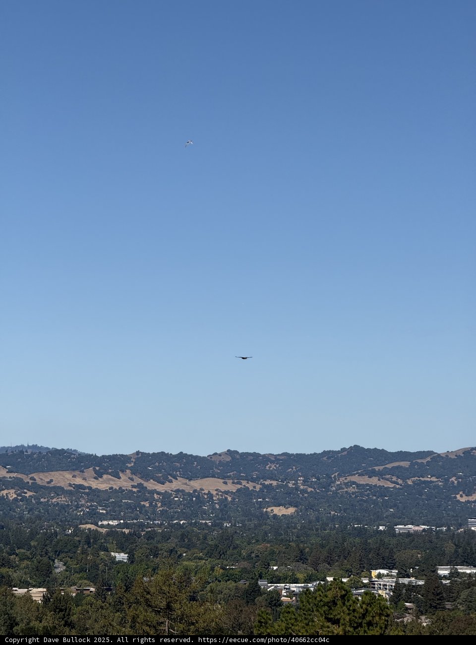Flight Over Walnut Creek