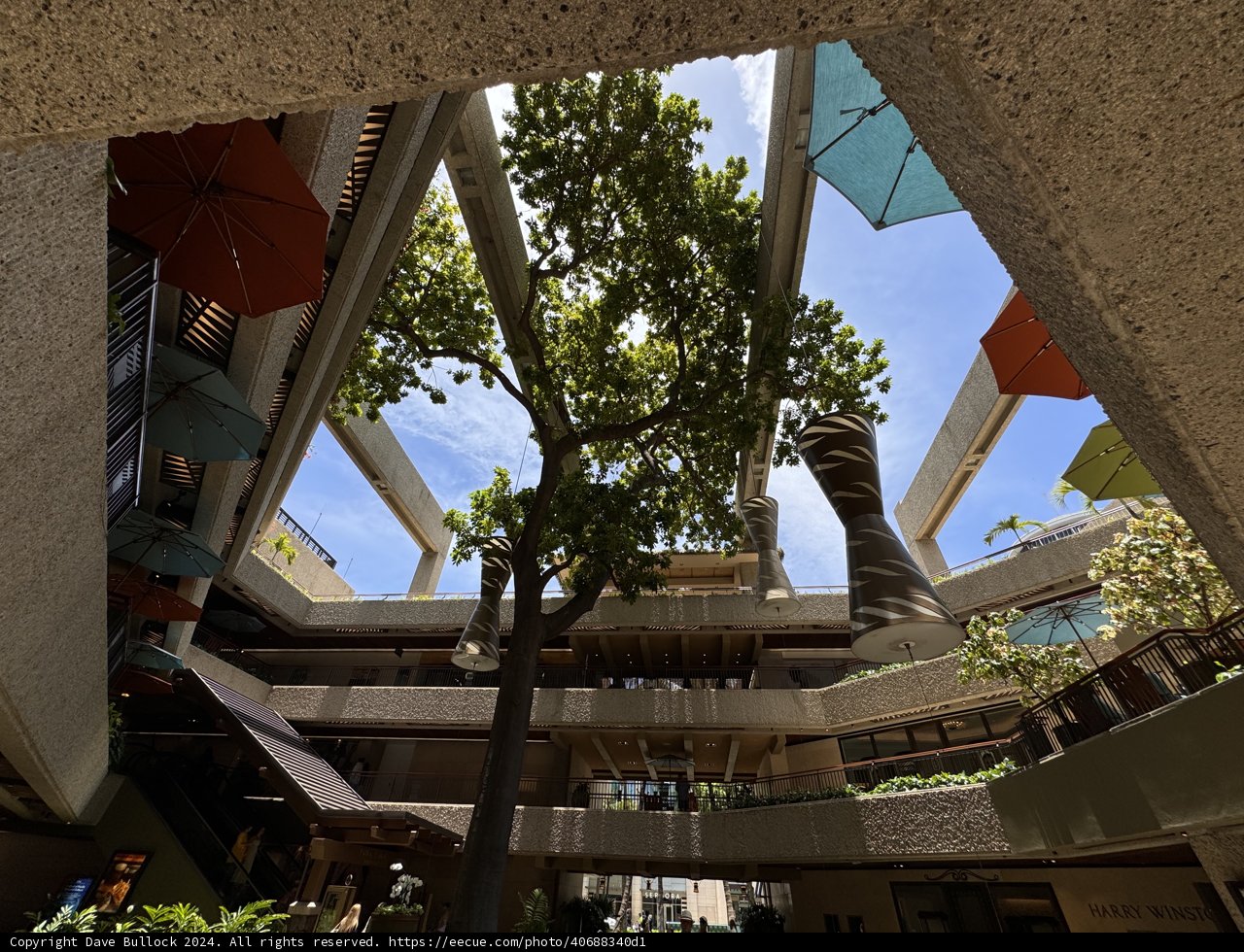 Urban Oasis in the Heart of Hawaii