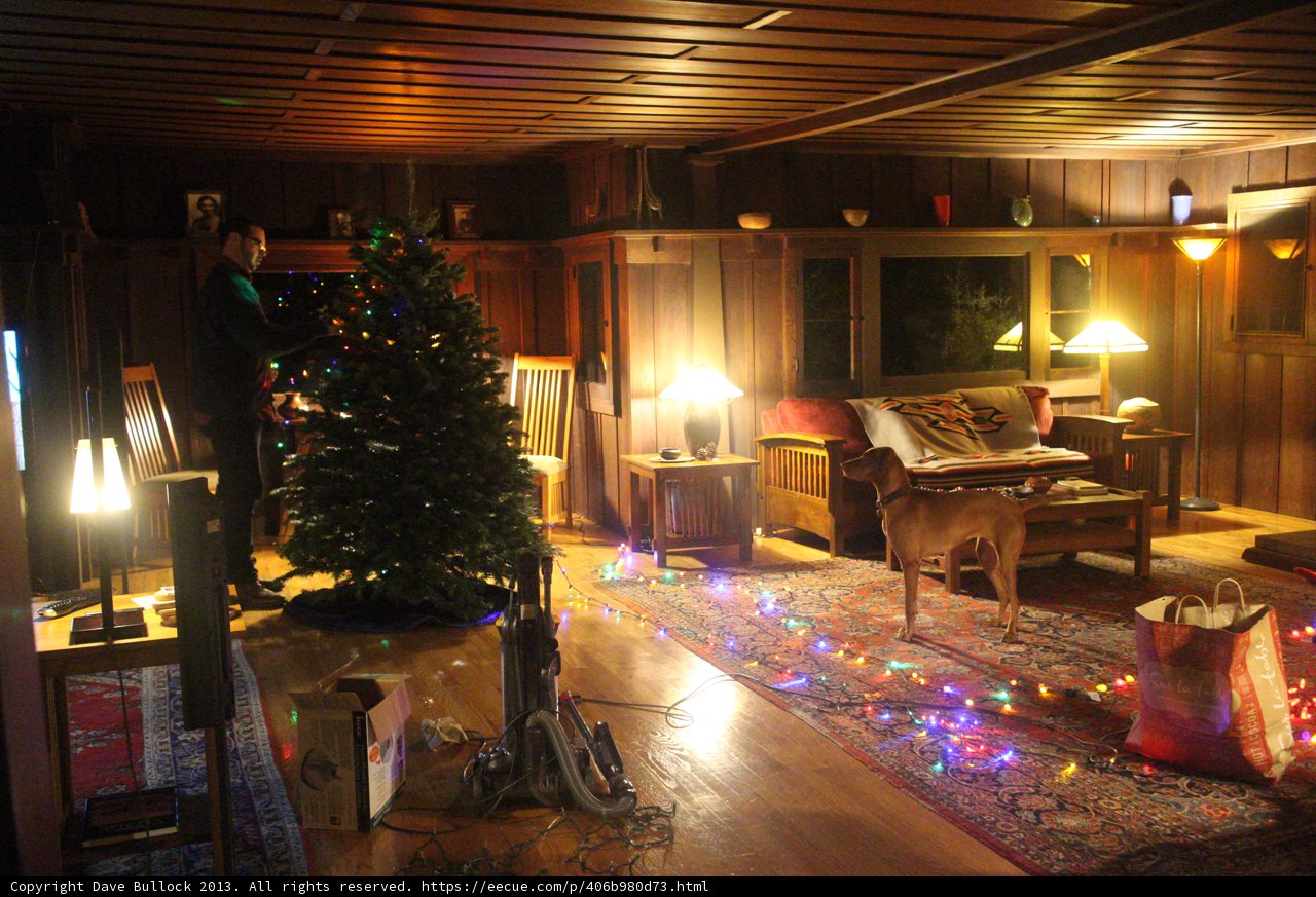 Cozy Christmas Living Room with Furry Friend