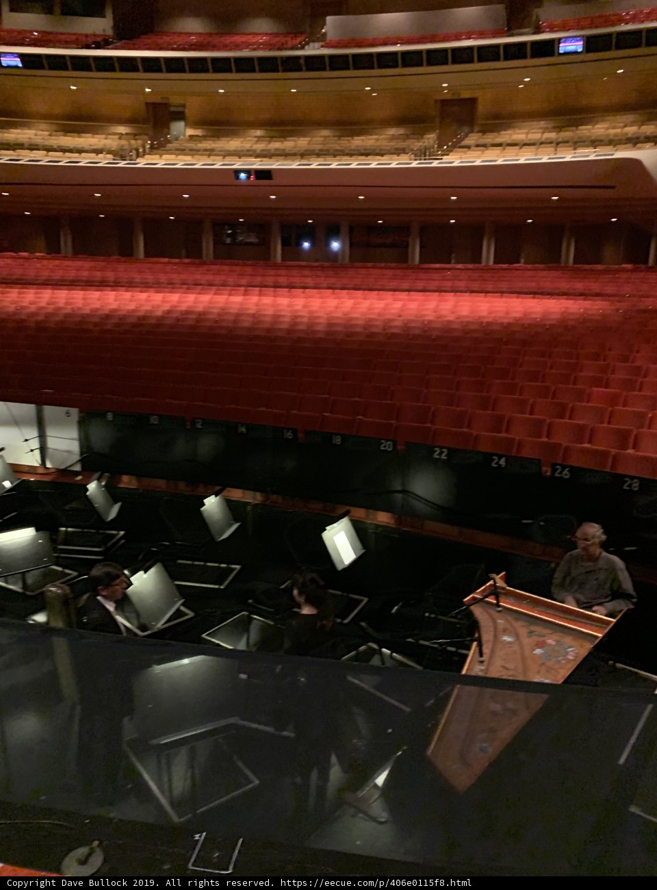 Musician's Solo Performance