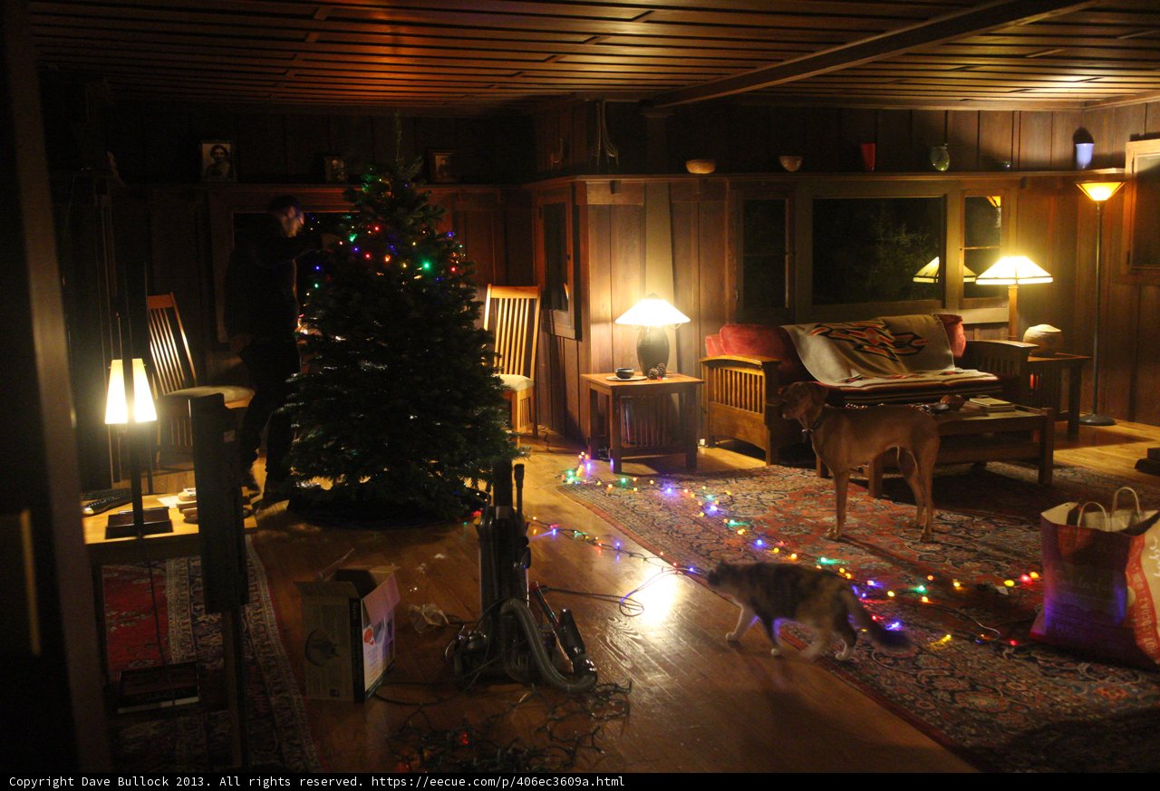 Cozy Living Room with Festive Cat and Tree