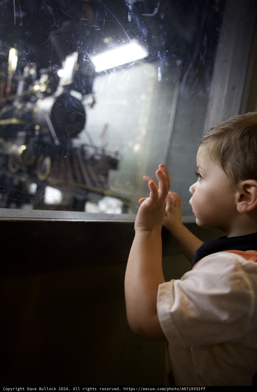Captivated by Steam: Young Wonder at the Tilden Train