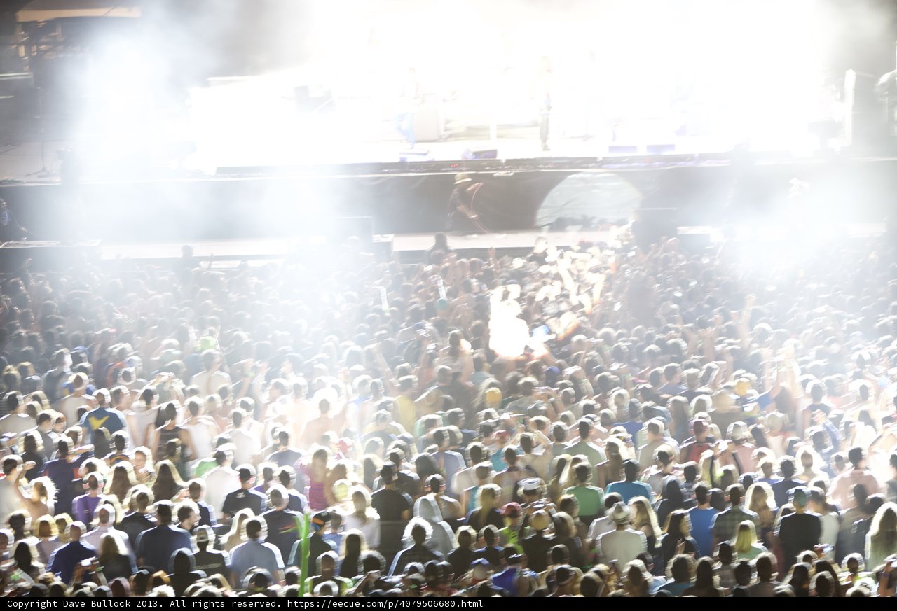 The Electric Crowd at Coachella