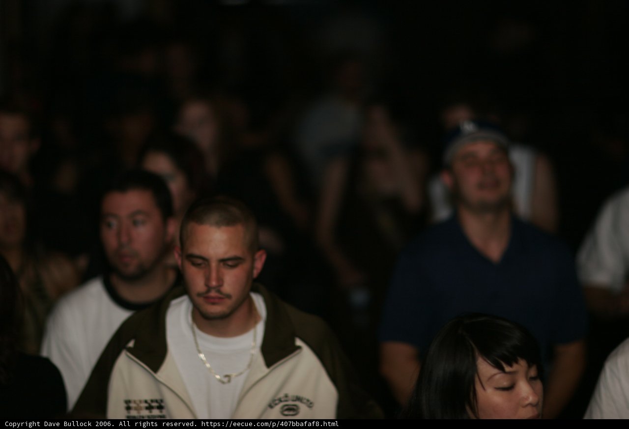 Night Club Crowd