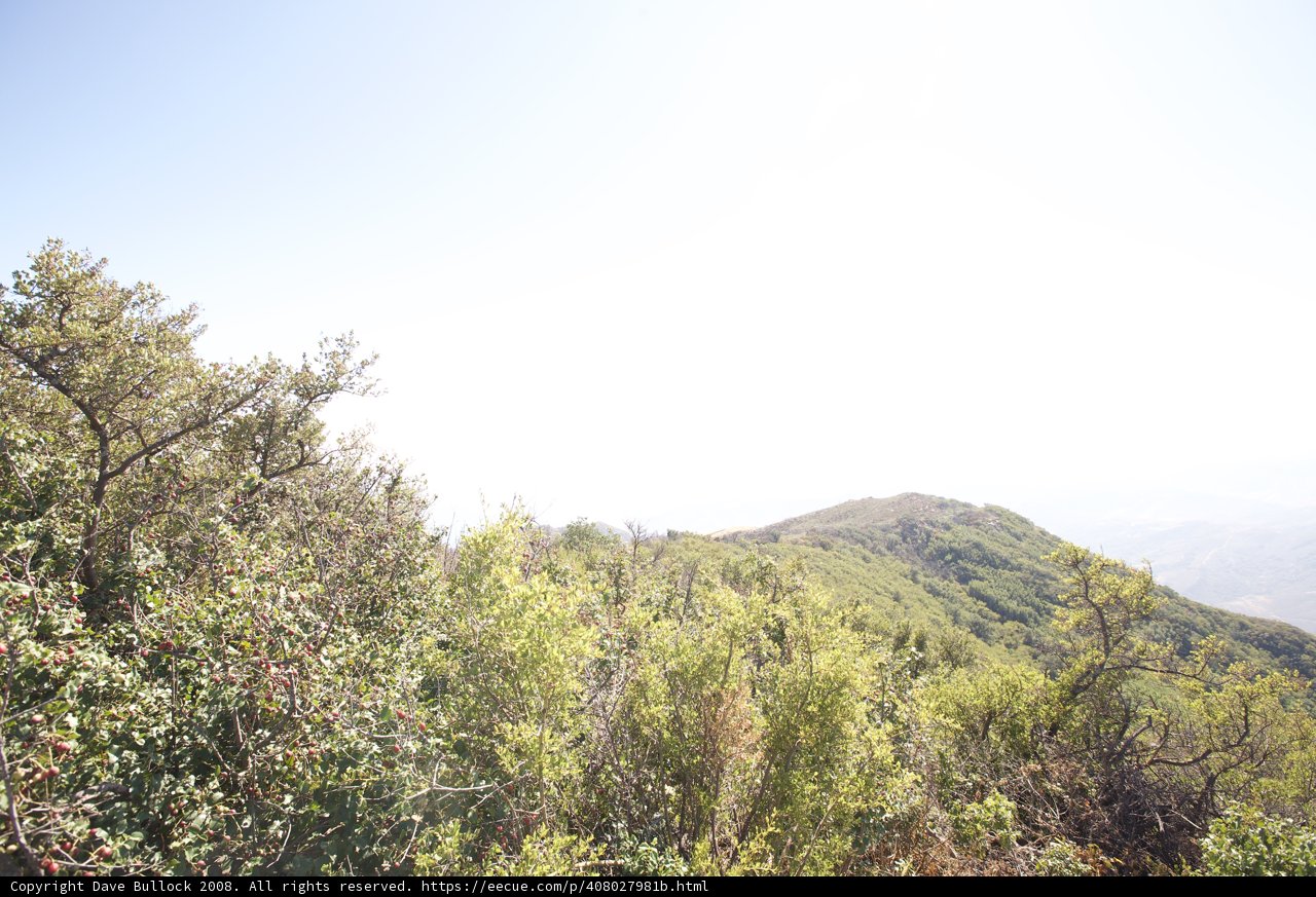 Majestic Mountain View