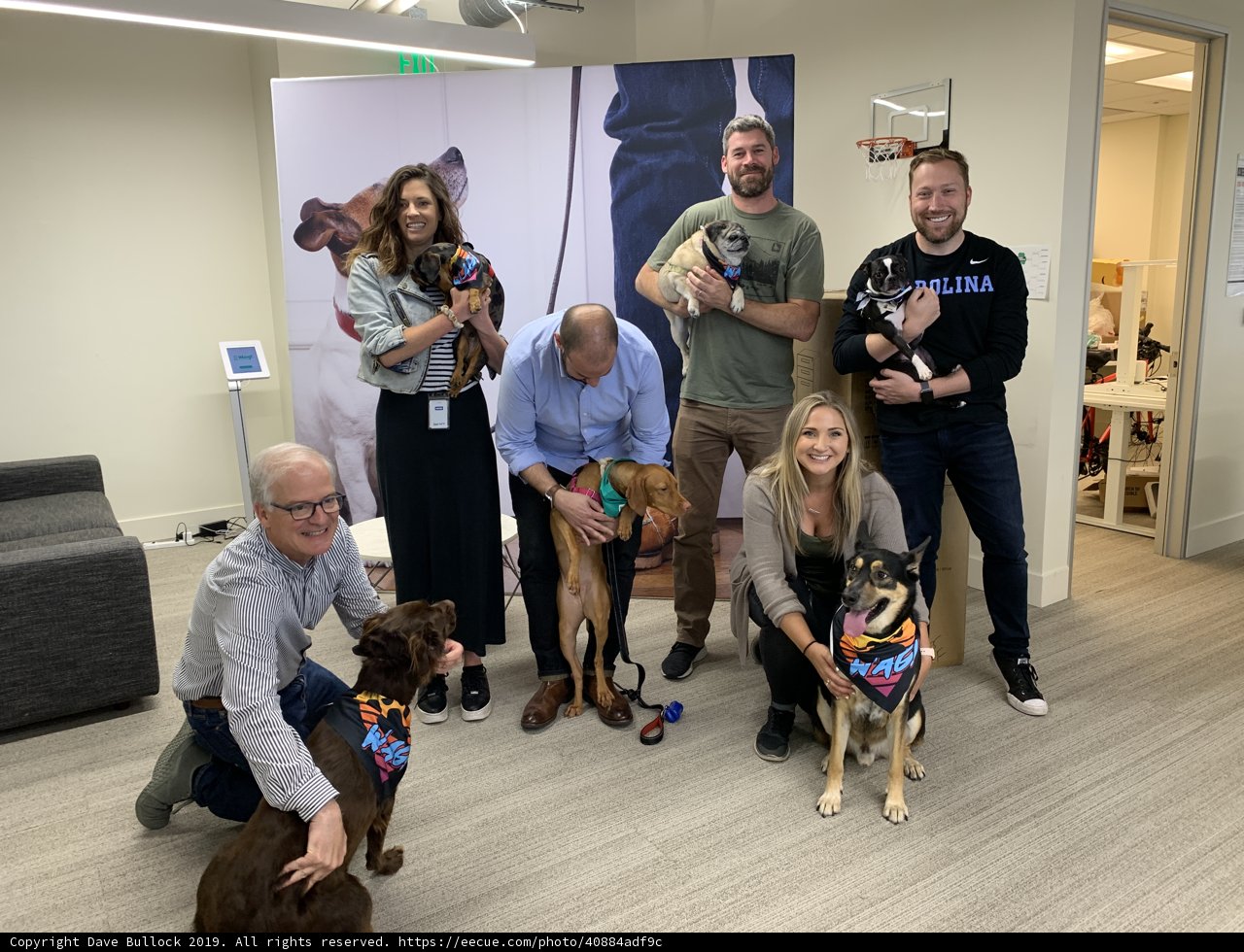 Paws and People in the Workplace
