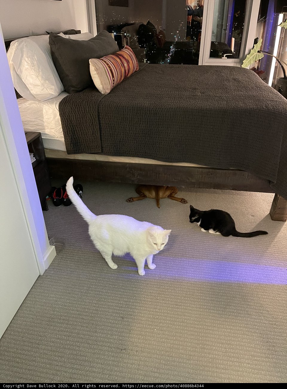 Floor Explorer