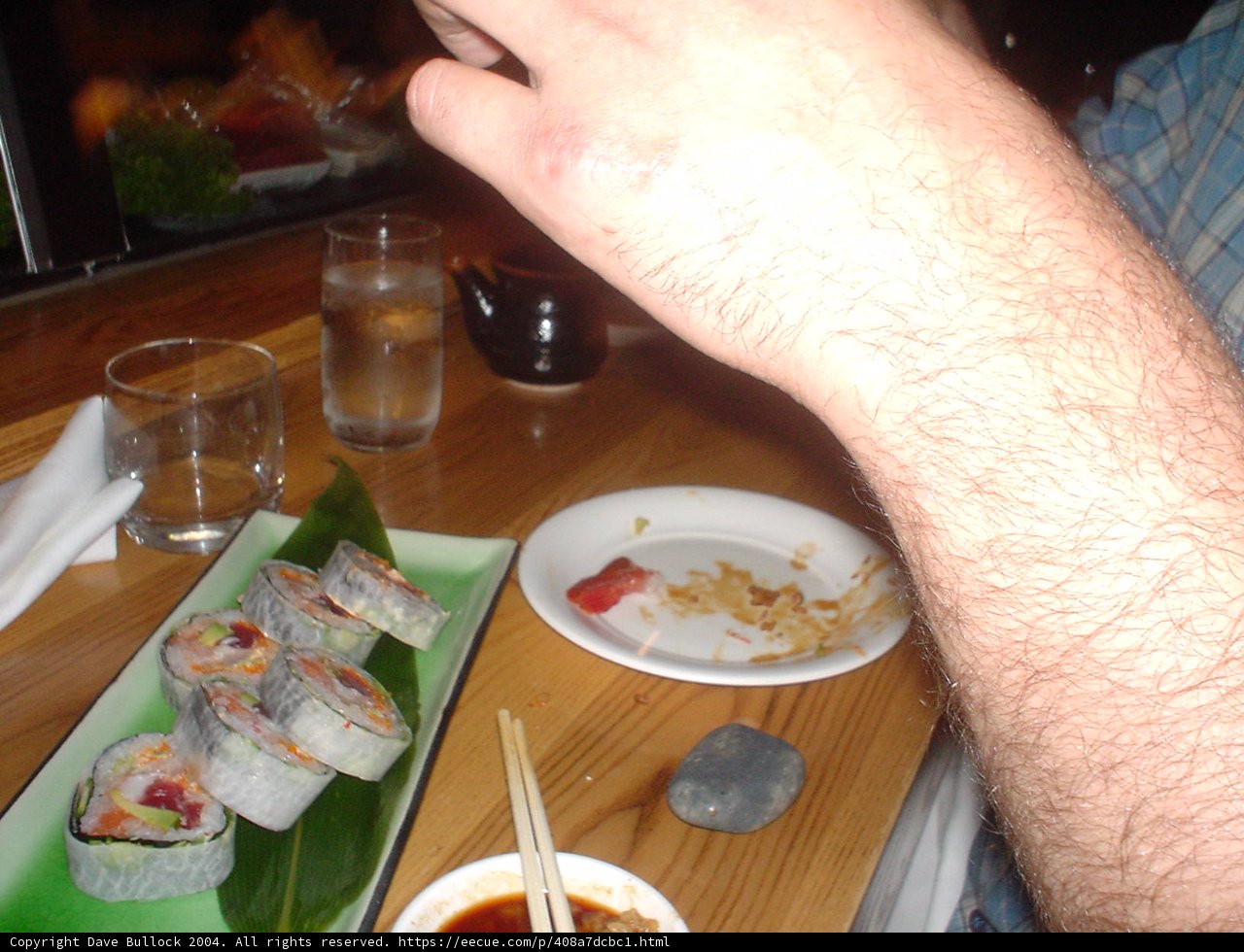 Sushi for Lunch