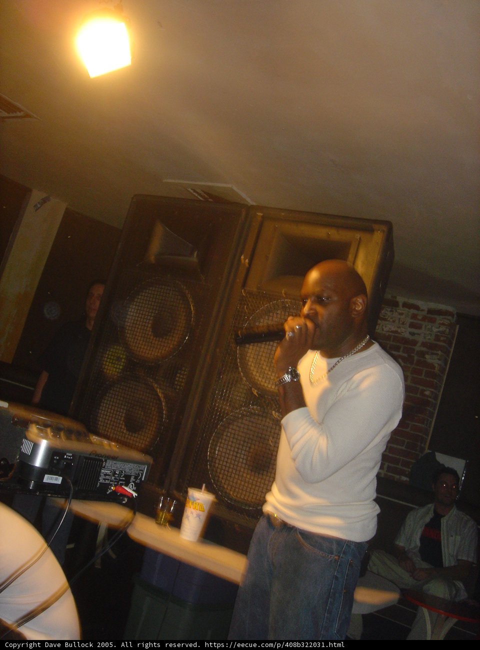 Musical Performance at the Night Club