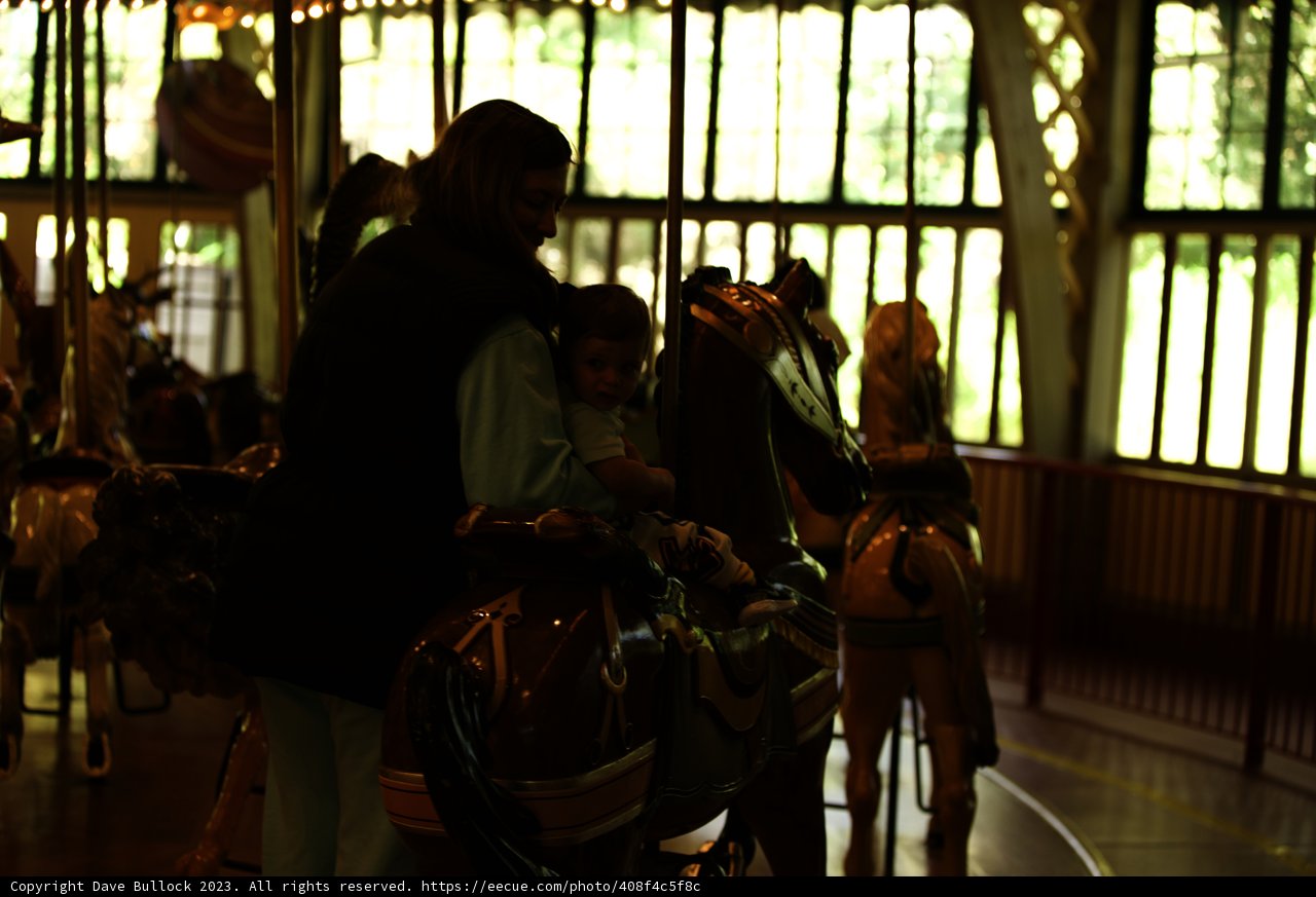 Whimsical Carousel Adventure at SF Zoo