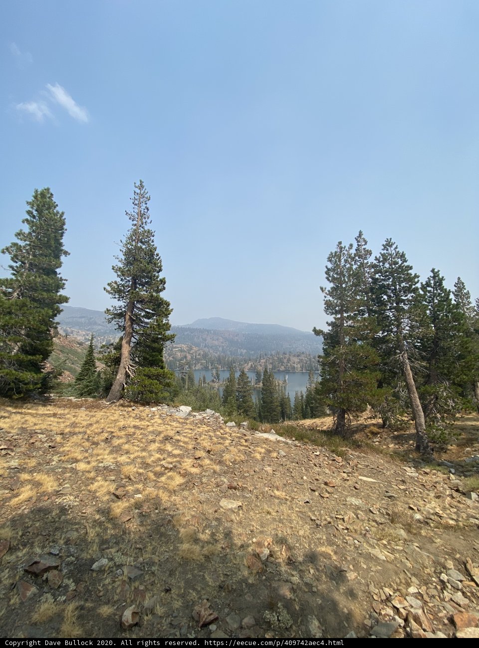 Majestic View of the Wilderness