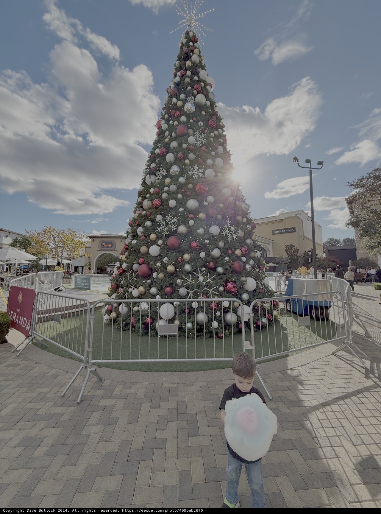 Child Admiring Large Christmas Tree Display
