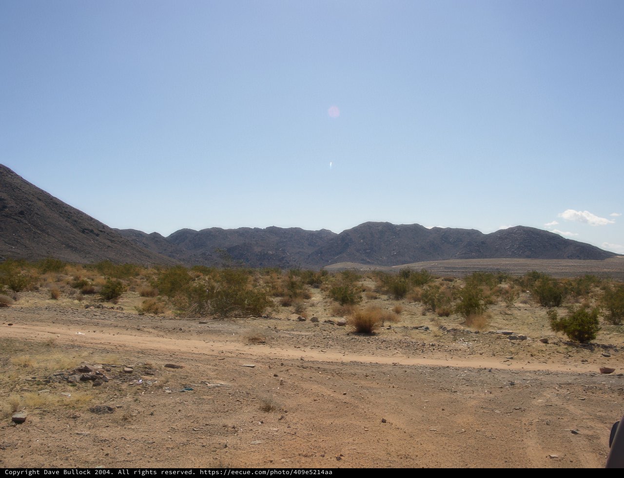 Journey Through the Desert