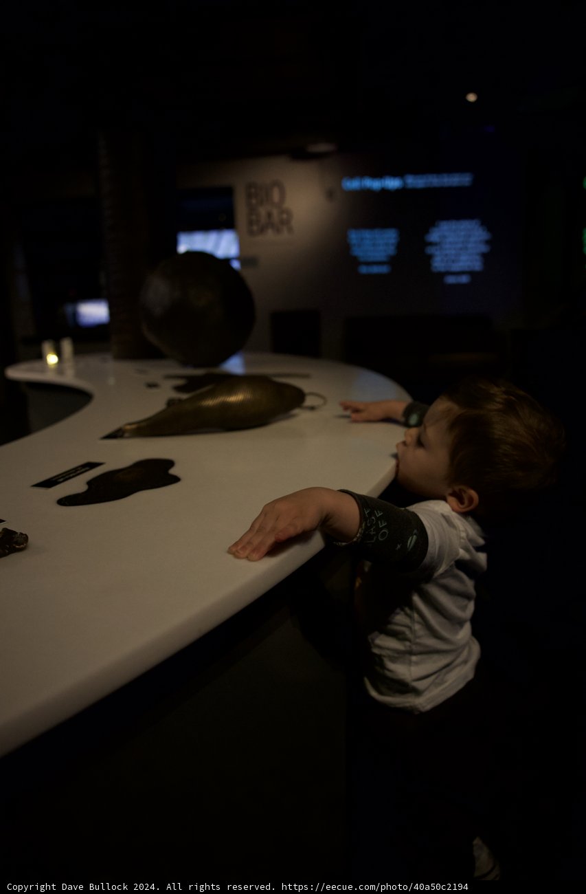 A Day of Learning and Discovery