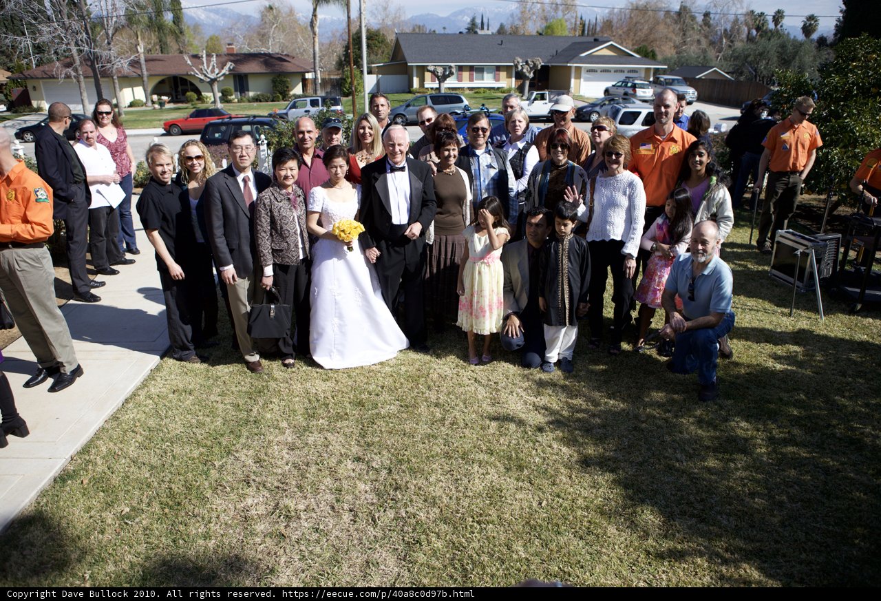 The Wedding Party