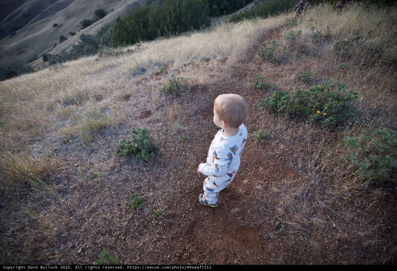 Toddler Explorer Gazes Across Golden Hills at Dusk