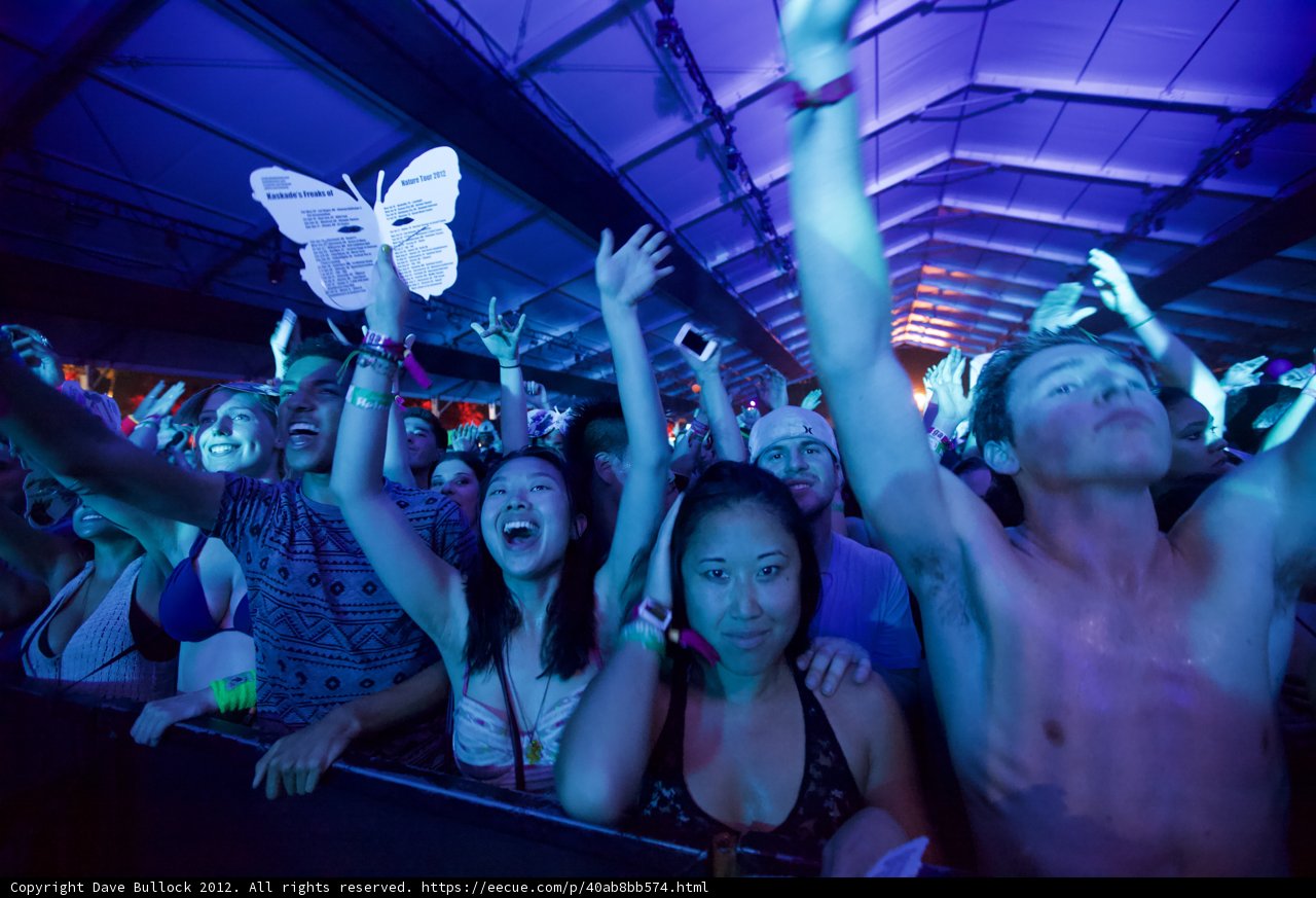 Coachella Excitement